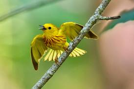 Four Rivers nature center in Channahon holds walking book club