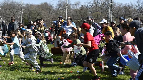 Egg hunts for kids, dogs and adults across the suburbs