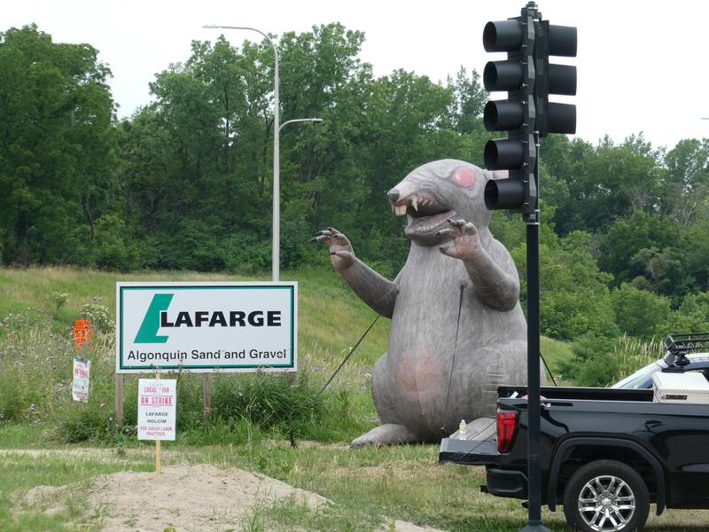 Members of Local 150 of the International Union of Operating Engineers have been on strike since June 7, 2022, against three construction companies: Lehigh Hanson, Vulcan Materials, and Lafarge Holcim. In this photo, a large inflatable rat, "Scabby", has been placed by Local 150 outside a Lafarge site off of Route 31 in Algonquin.