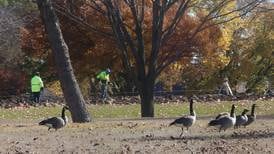 Photos: Baker Lake construction halfway finished in Peru
