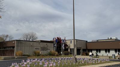 Grundy Area Vocational Center decorates lawn with 145 flags honoring local veterans