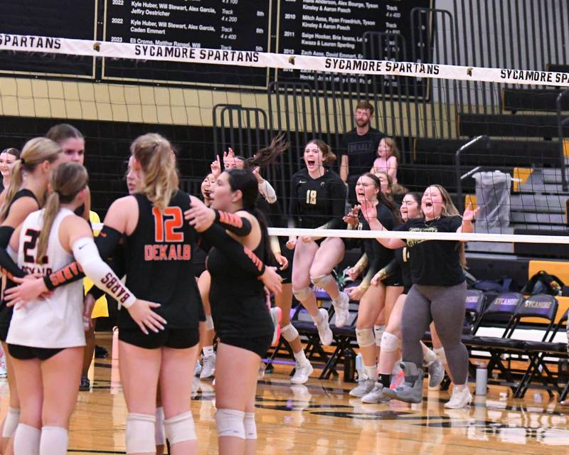 Sycamore’s volleyball bench celebrates after taking the win over DeKalb on Wednesday Aug. 27, 2025, held at Sycamore High School.
