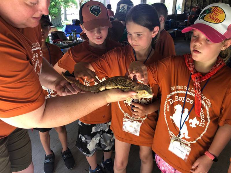 Mary Johnson, director of the Cub Scout Day Camp at St. Bede Academy in Peru, introduces Cub Scout campers to her friend the bearded dragon June 16.