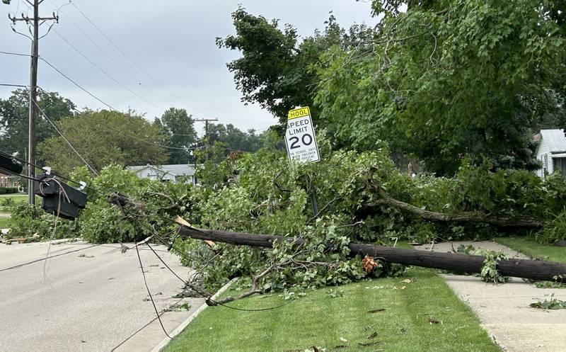 Trees and powe lines lay on W. Second Street in Byron, on Tuesday, July 16, 2024. following a strong storm ripped that through the town Monday night.