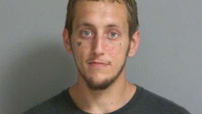 Marseilles man faces up to 10 years in stolen gun plea