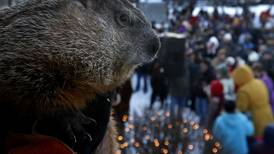 Phots: Woodstock Willie says 6 more weeks of winter