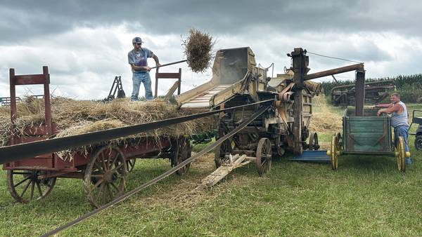 Photos: Bos Brothers Farm Threshing Bee