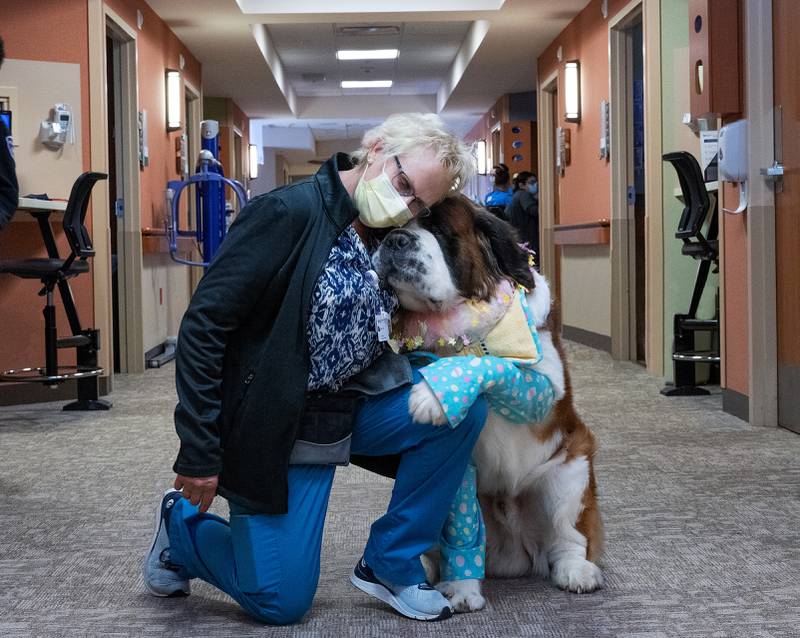 Some volunteers such as Janet Russie and her 5-year-old St. Bernard, Joker, tap into their hobbies to help lift those inside Northwestern Medicine Kishwaukee Hospital in DeKalb. Russie and other volunteers are being heralded by the health system as part of National Volunteer Week, April 16 through 22.