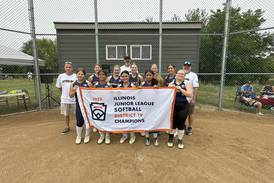 Sterling Little League team snags district championship, falls short at state tournament