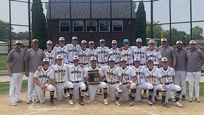 No. 9 hitter Landon Norris leads Morris past LaSalle-Peru to win Class 3A regional title