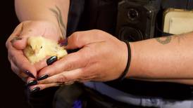 Animals rescued in Joliet after police uncover ‘broader criminal operation’
