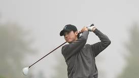 Photos: West Suburban Conference silver division boys golf