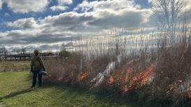 Will County forest district explains why controlled fires are needed