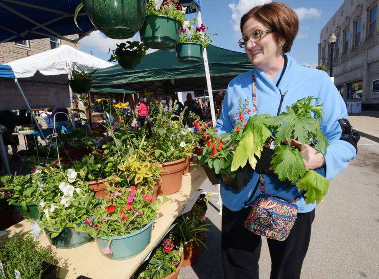 West Chicago Blooming Fest returns this weekend – Shaw Local