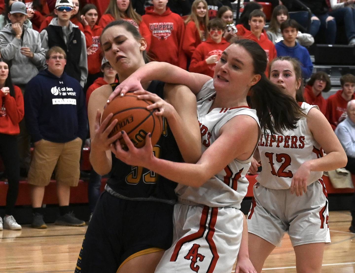 Polo's Lindee Poper (left) and Amboy's Emily Sachs fight for a rebound during Friday night's Class 1A Amboy Regional final.