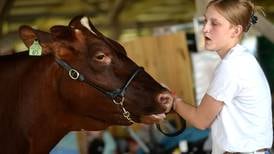 Shaw Local Radio Podcast: Talk Line with Brandon Clark interviews Katie Baker on upcoming local 4-H programs