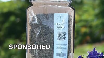 Lobelia May Help You Quit Using Tobacco