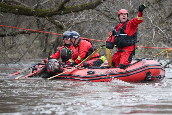 Horse rescued from floodwaters near Marengo after hours-long effort