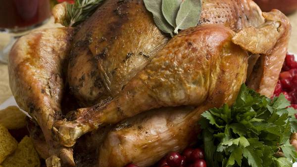 Is Thanksgiving food safe for pets?