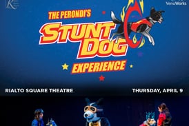 Perondi’s Stunt Dog Experience coming to Rialto Square Theatre this spring