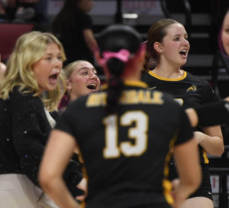 Riverdale players and their coach react to winning a point during their 2A semifinal match with Central Catholic at the state volleyball tournament at Illinois State University on Friday, Nov. 14, 2025.