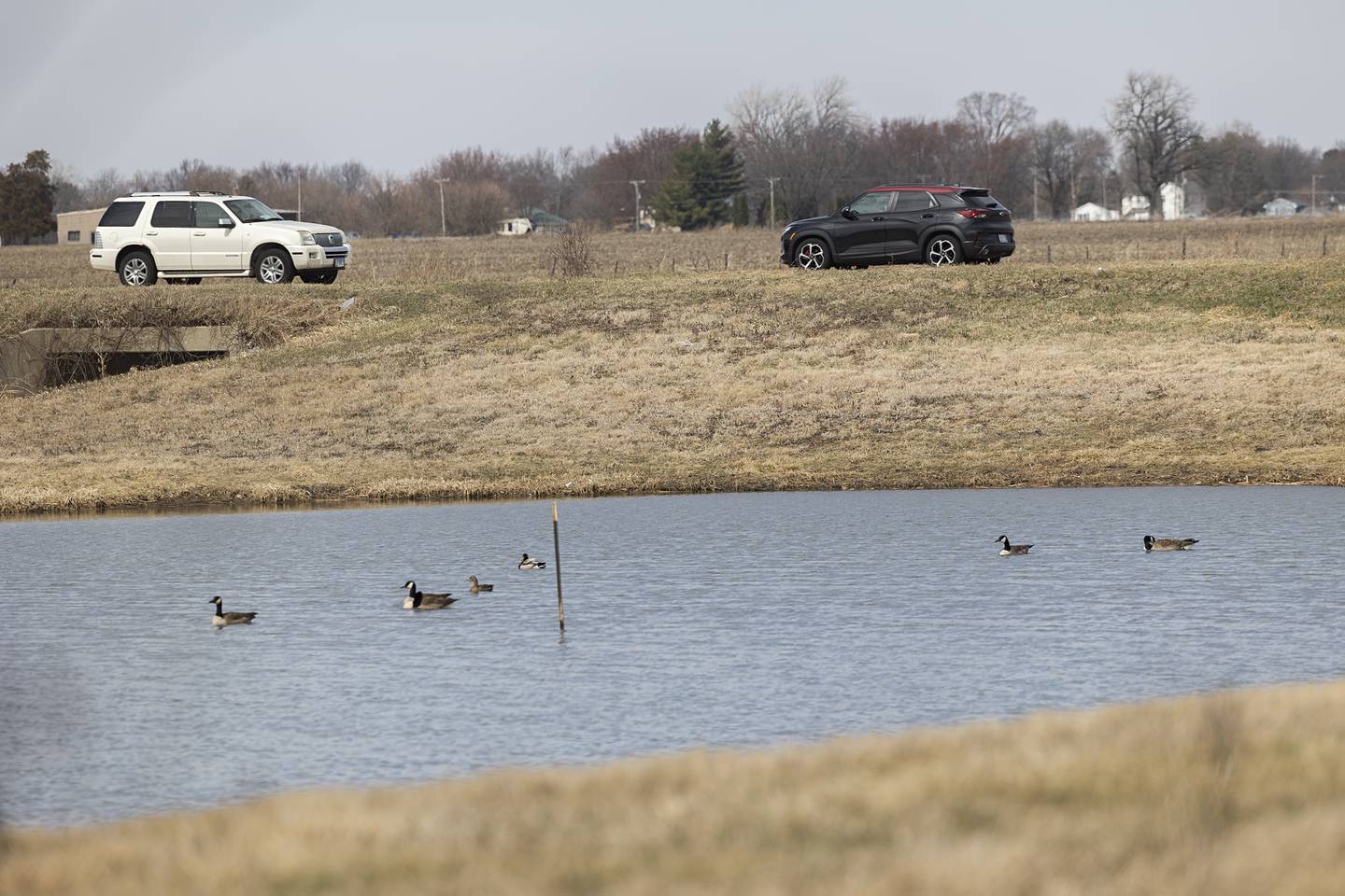 A retention pond near the Northland Mall is seen Thursday, March 12, 2026, in Sterling. At a recent city council meeting, city manager Scott Shumard discussed the budget that goes into stormwater management.