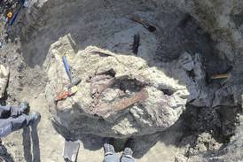 Scientists discover a new dinosaur from Argentina with a crocodile bone in its mouth