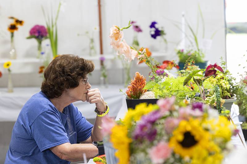 Lee County Master Gardener Joyce Better of Paw Paw judges a display Thursday, July 25, 2024 at the Lee County 4H Fair.