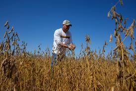 Eye On Illinois: Soybeans, gray area and consumers feeling the squeeze of a tax on leased equipment