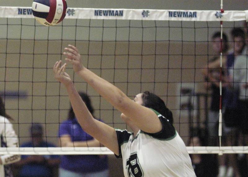 Rock Falls' Ari Reyna hits a ball over the net. Rock Falls took on Sherrard in the Class 2A regional volleyball semifinal Tuesday, Oct. 29, 2024 at Newman High School.
