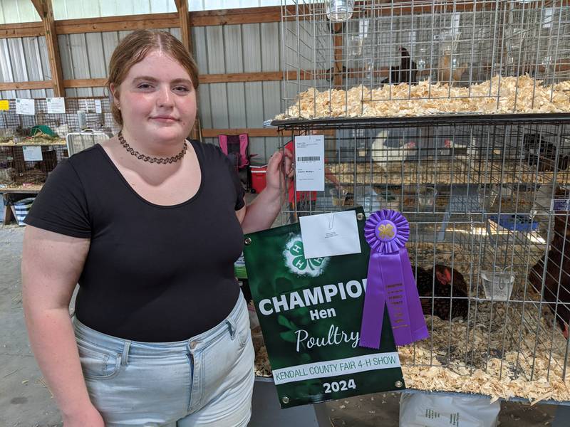 The Kendall County Fair opened on a high note for Yorkville High School student Madilyn Adams, whose Golden Laced Wyandotte chicken won a grand champion ribbon at the fair on Thursday.