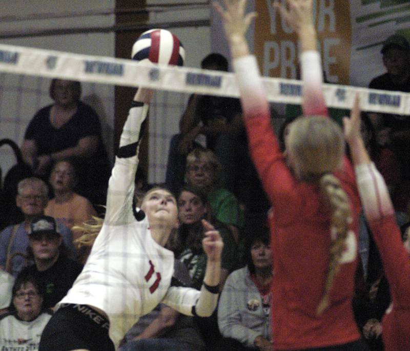 E-P's Lauren Abbott hits the ball past Oregon defenders. Erie-Prophetstown took on Oregon in the Class 2A regional volleyball semifinal Tuesday, Oct. 29, 2024 at Newman High School.