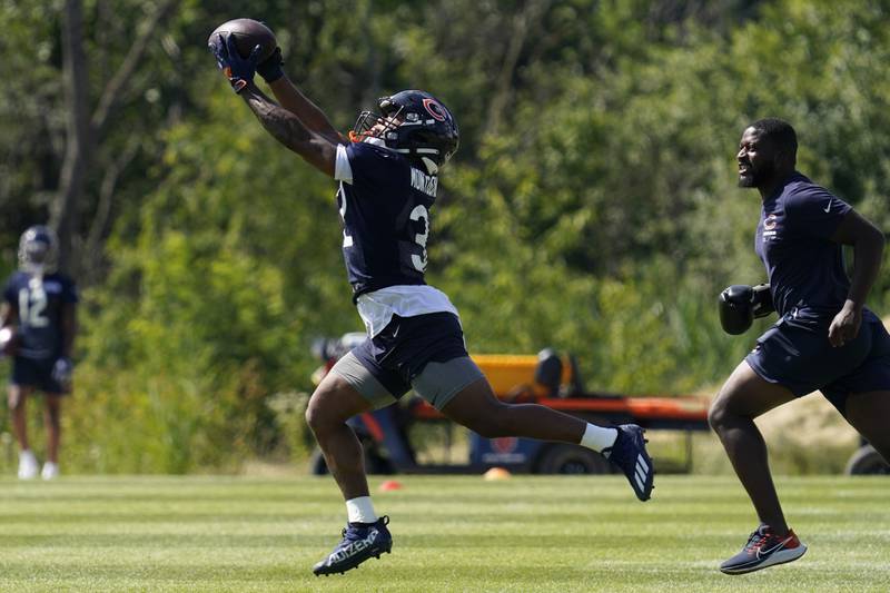 Chicago Bears running back David Montgomery catches a ball during training camp practice, Saturday, July 30, 2022, in Lake Forest.