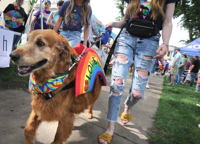 An estimated 75 pets took part in the Pets For Pride Parade on Saturday, June 11, 2022, at Washington Square in Ottawa during the Ottawa Family Pride Fest.
