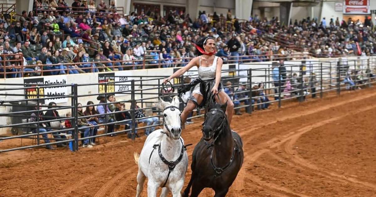 The most-read entertainment stories in northern Illinois in 2025