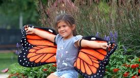 5 Things to Do: Watch fireworks in Lakemoor and Woodstock; celebrate butterflies in Crystal Lake