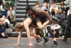 Herald-News boys individual state wrestling preview: 78 athletes aiming for titles