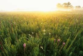 Explore Parks and Prairie Along The First Hundred Miles