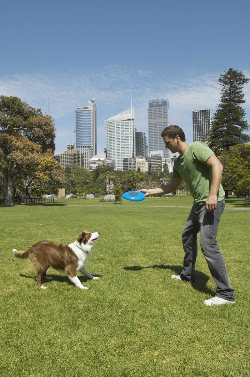 All Creatures Great & Small - How to host a pet-friendly community event
