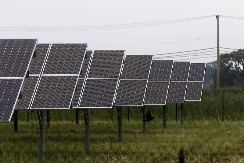 The solar farm at Huntley High School on Friday, June 30, 2023. Multiple solar farms across McHenry County are being presented to the McHenry County Board creating concerns of watershed, farmland and pollinator issues.