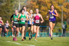 Photos: IHSA Class 2A Cross Country Sectional at Lakes