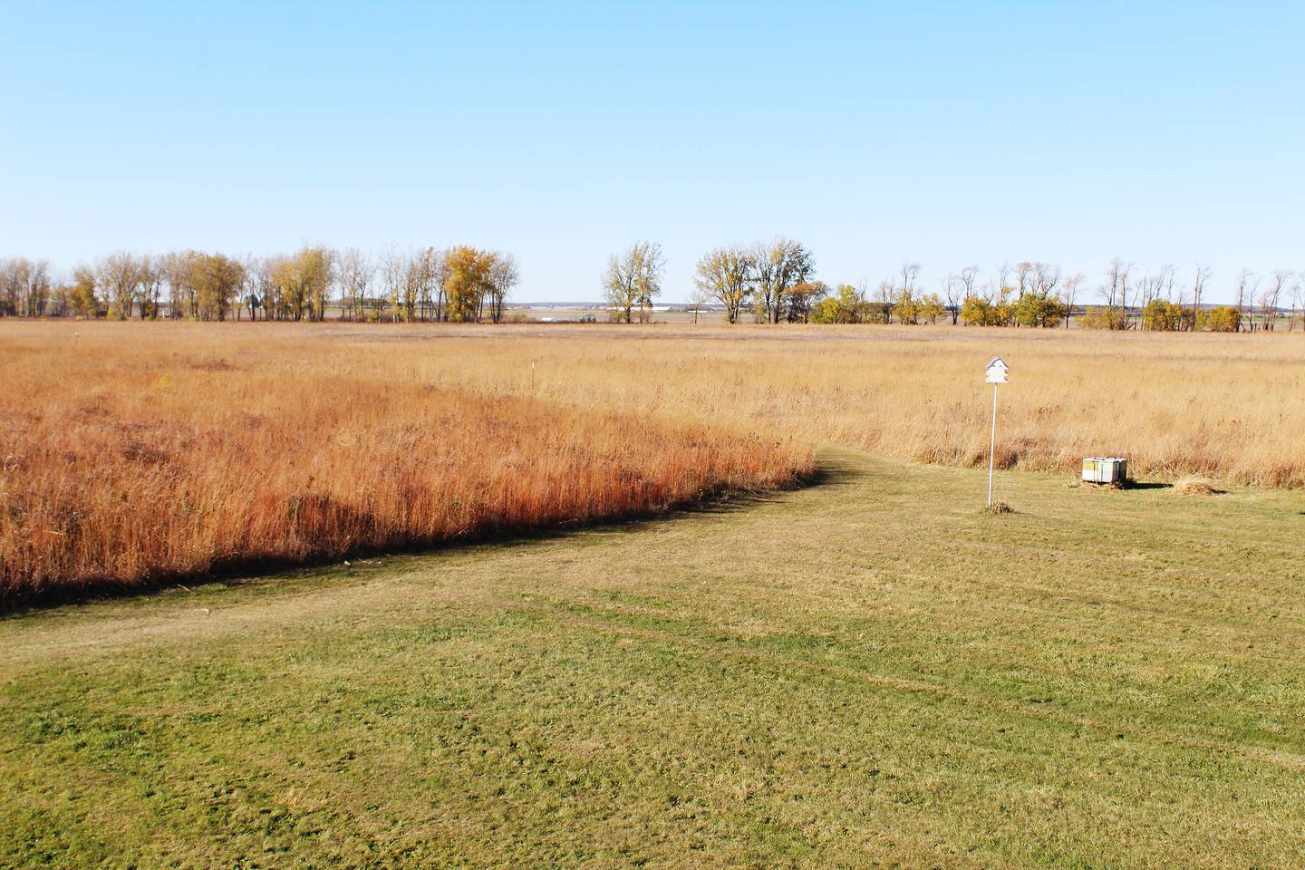 Nomia Meadows Farm, owned by John and Lisa Ayers of Franklin Grove, spans 110 acres of protected prairie, a humming apiary and an apple orchard.