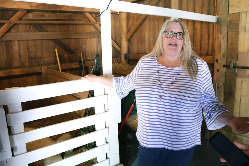 Tammy McMahan, founder and executive director of the Ruth Project, gives a tour Thursday, July 13, 2023, at the organization’s 33-acre farm in Sycamore. The Ruth Project is a group based in Elgin that provides support for foster parents and children.