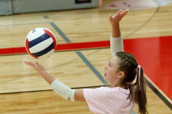 Photos: Erie-Prophetstown vs Hall volleyball