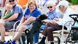 Photos: Paws on Park Avenue