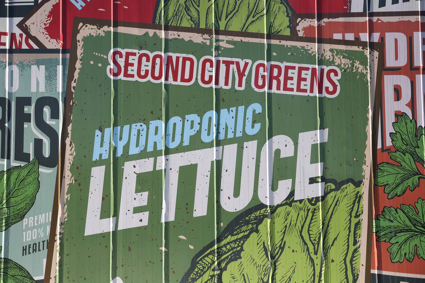 Lockport Mayor Steven Streit and his wife Wendy designed the murals for Second City Greens’ two containers.