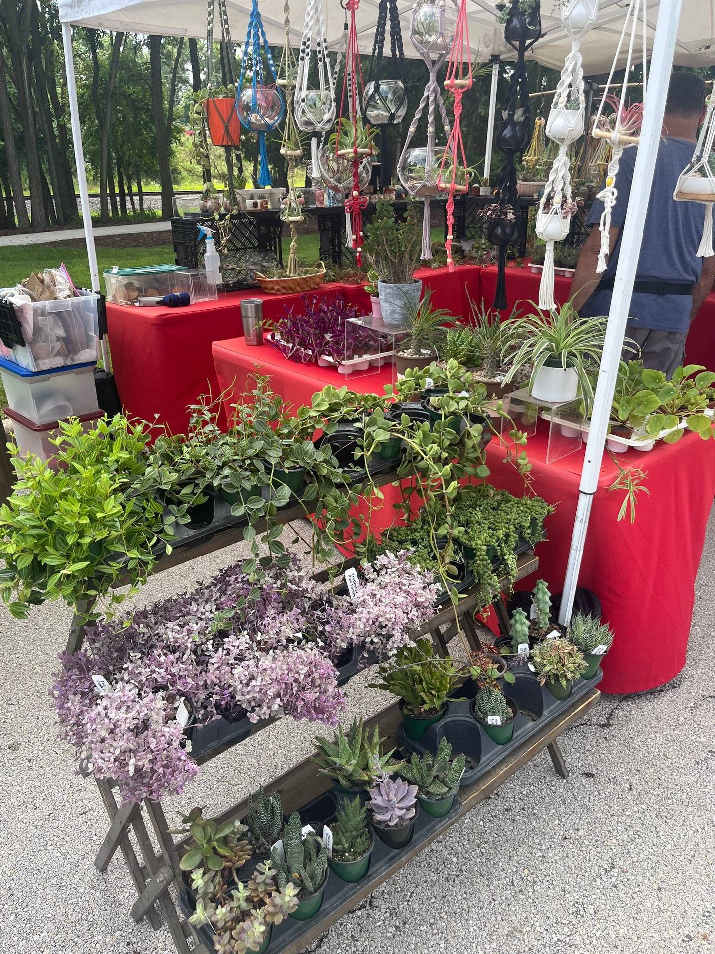 One of the stands at the Minooka Vintage Faire selling plants.