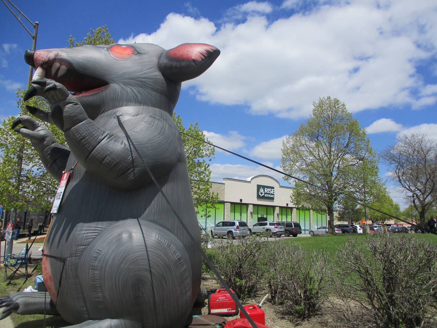 An inflatable rat is stationed on the sidewalk outside the Rise cannabis dispensary at 2903 Colorado Ave. in Joliet where workers have been on strike since April 19. April 26, 2023.