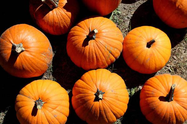 St. Mary Catholic Church in Byron’s trunk or treat is Oct. 25