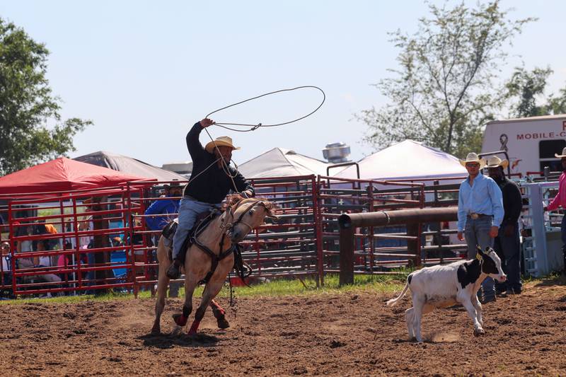 A contestant looks to rope a calf during the 50th Pembroke Rodeo on Sunday, May 24, 2026.